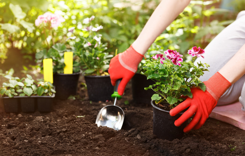 construir un jardin