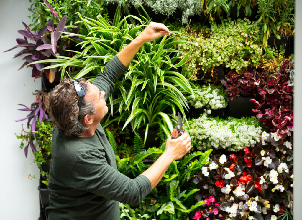 5 pasos Como crear un jardín vertical en casa