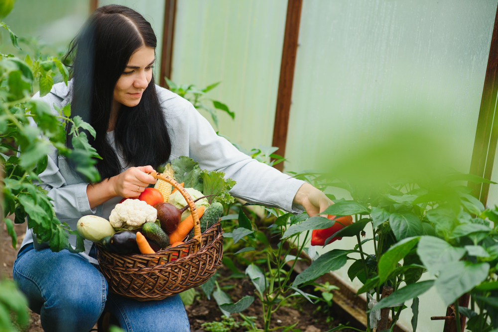 mujer joven recogiendo verduras invernadero