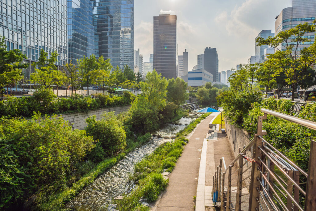 arroyo cheonggyecheon seul corea arroyo cheonggyecheon es resultado renovacion urbana masiva 1