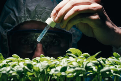 biologo dejando caer quimicos liquidos plantas