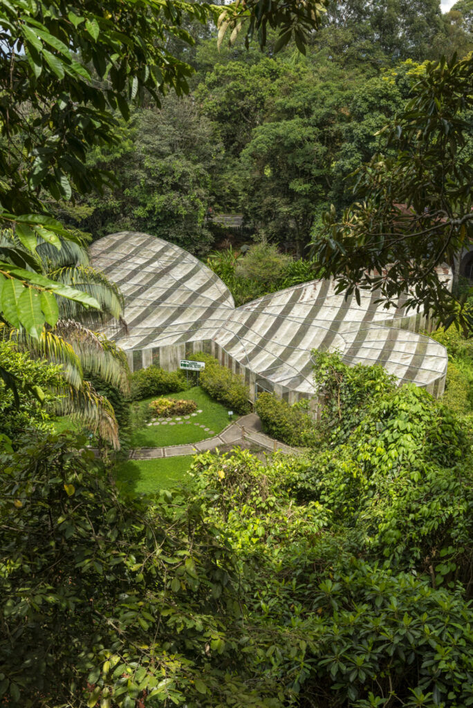 colombia armenia 14 septiembre 2021 casa mariposas jardin botanico quindio imagen archivo 1