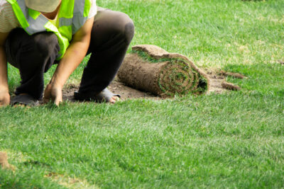 hierba cortar cesped fondo trabajador borroso poniendo cesped hierba fresca