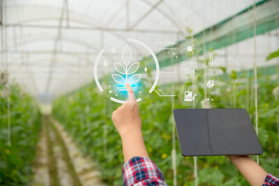 internet cosas iot farming smart concept utilizan agricultura tecnologia moderna