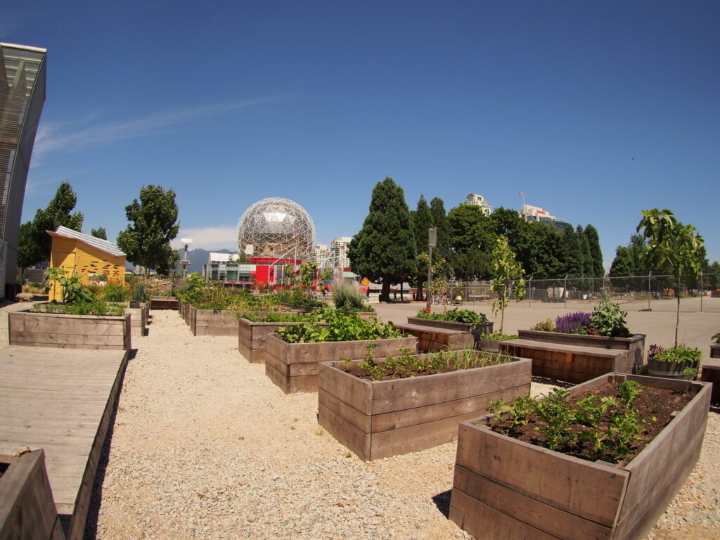 jardin urbano
