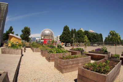 jardin urbano