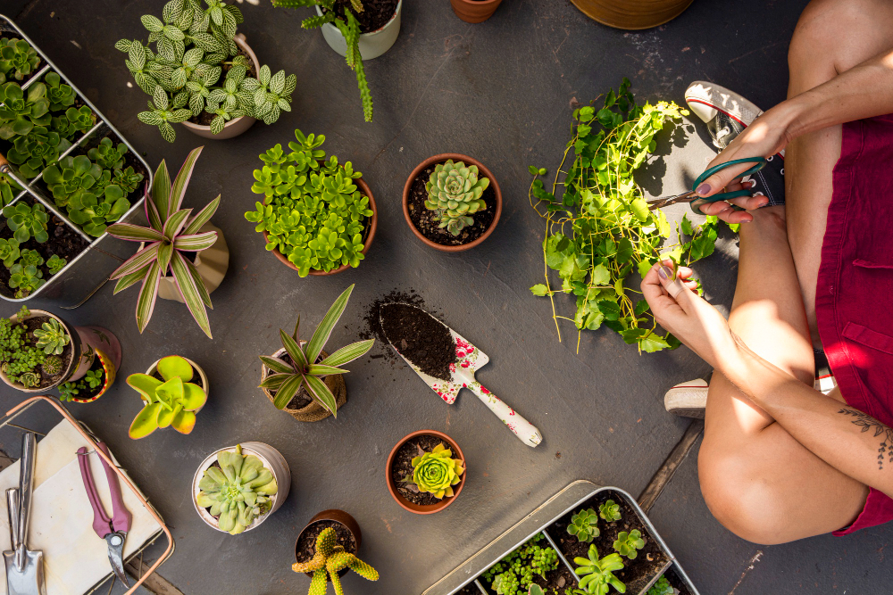 mujer laica plana cuidando plantas 1