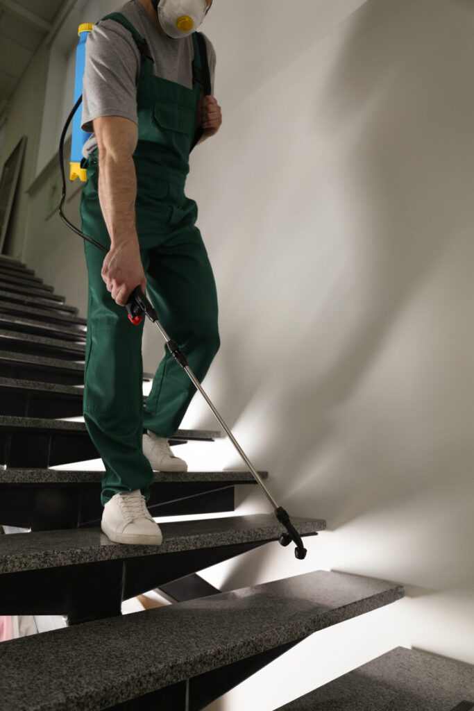 trabajador control plagas uniforme rociando pesticidas escaleras interiores